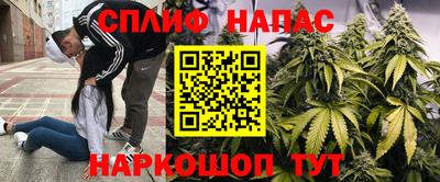 ПСИЛОЦИБИНОВЫЕ ГРИБЫ Северобайкальск