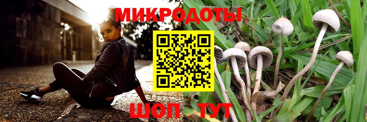 Псилоцибиновые грибы Cubensis  Вход с VPN  наркошоп  Прокопьевск 