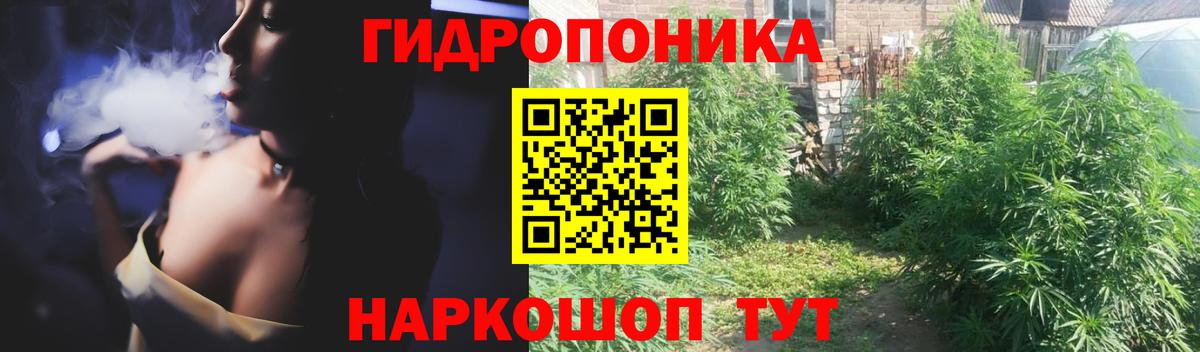 Марихуана VHQ  Каннабис гибрид  Прокопьевск  Вход с VPN  Марихуана ГИДРОПОН 